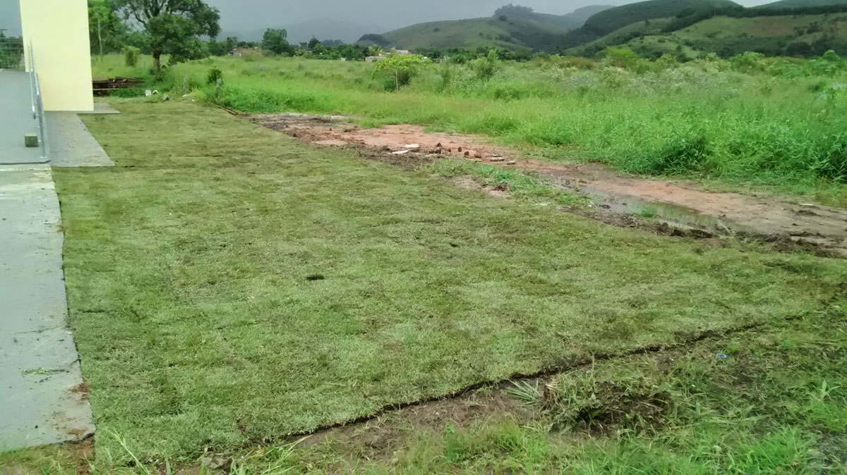 IMG_20150407_142449427