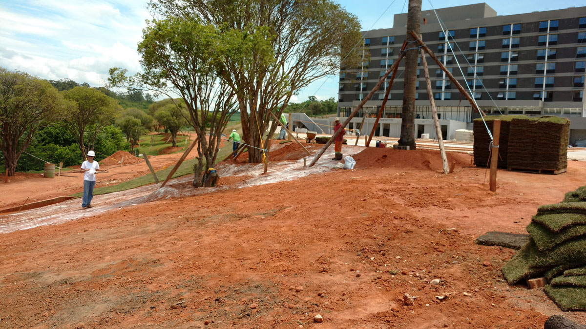 IMG_20151117_132232277