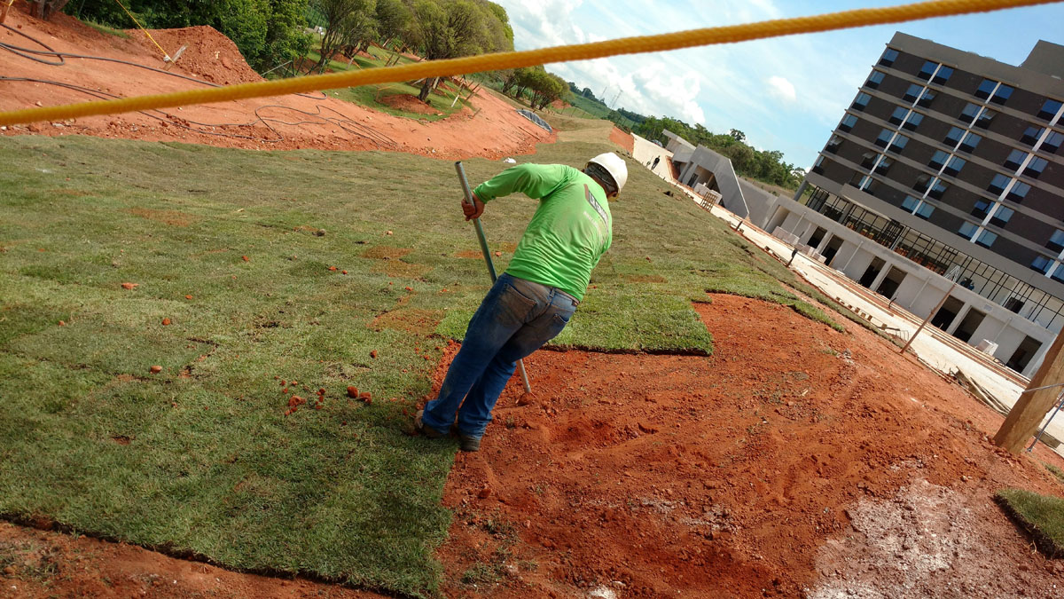 IMG_20151117_132255552