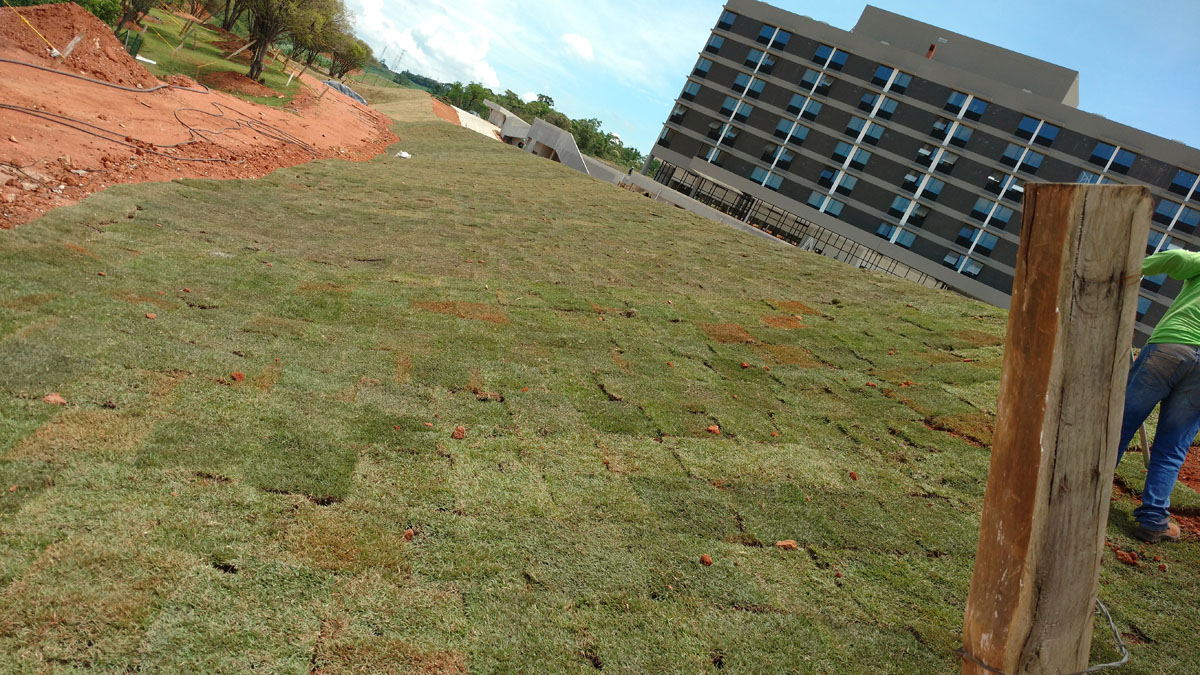 IMG_20151117_132304964