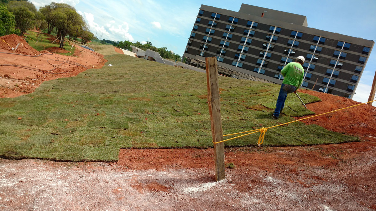 IMG_20151117_132312930