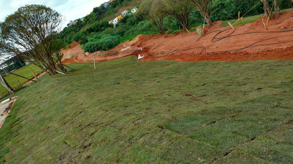 IMG_20151117_172312053_HDR