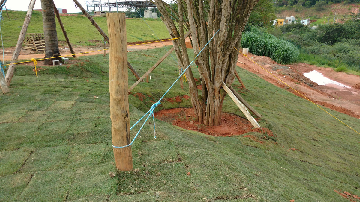 IMG_20151117_172339796