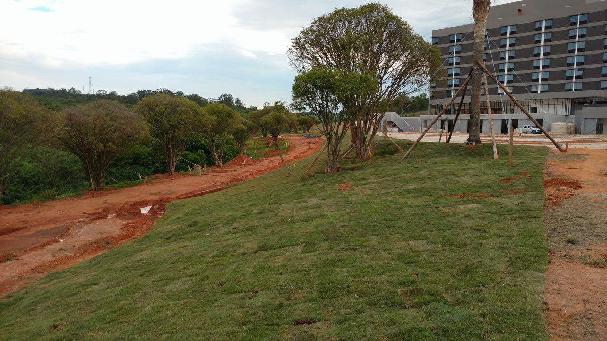 IMG_20151117_172448277