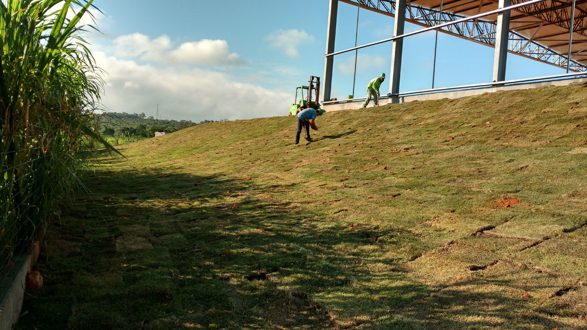 IMG_20151127_080813900_HDR