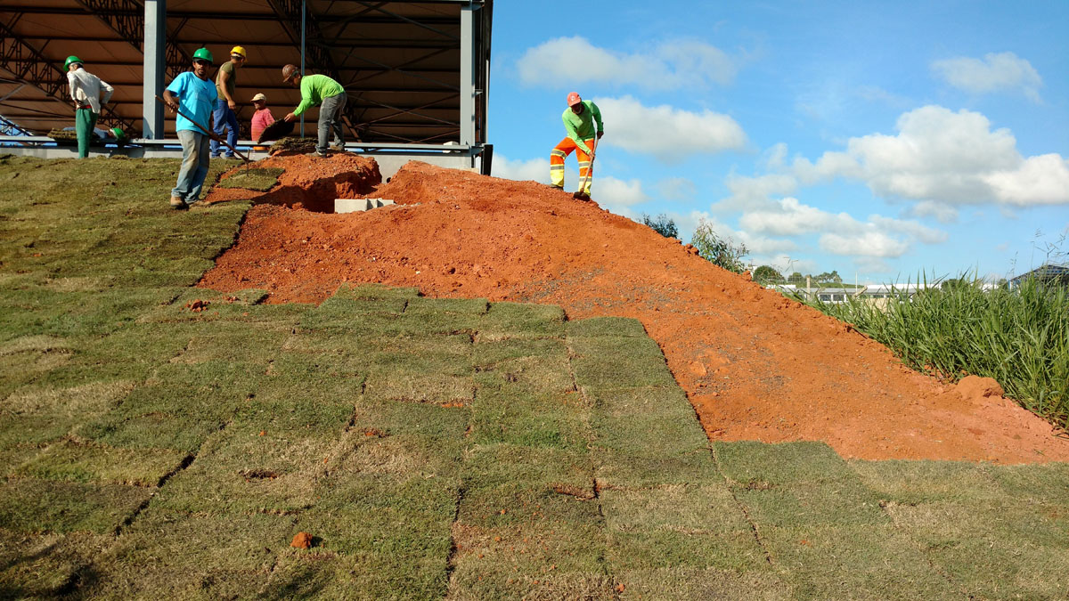 IMG_20151127_080817712