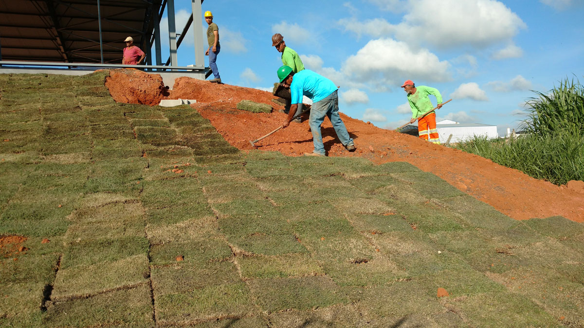 IMG_20151127_081000193