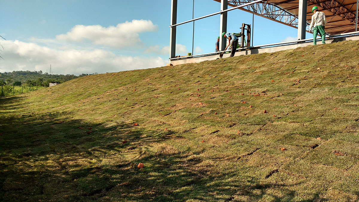 IMG_20151127_081004606_HDR