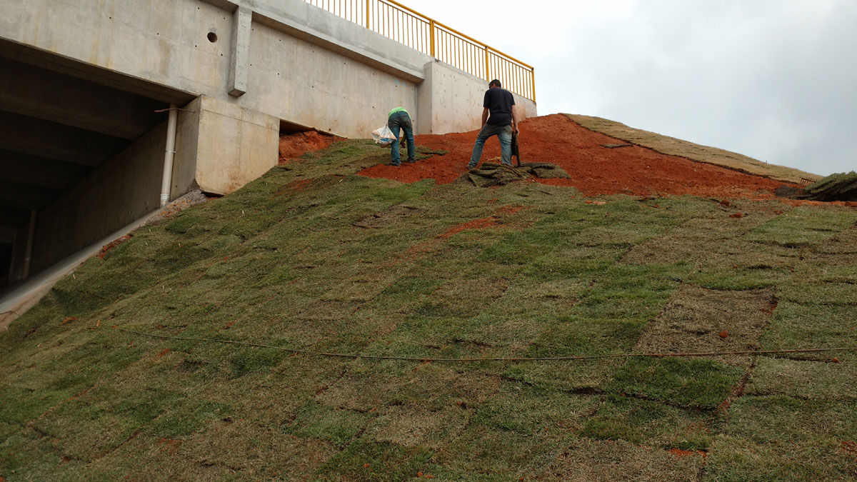 IMG_20160722_100226623